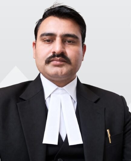 Legal Support Team